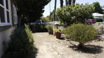 Enlarge photo 44