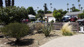 Enlarge photo 45