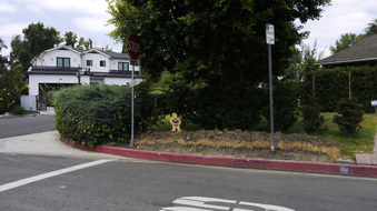 Enlarge photo 4