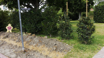 Enlarge photo 7