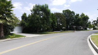 Enlarge photo 50