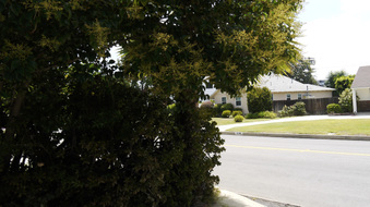 Enlarge photo 54