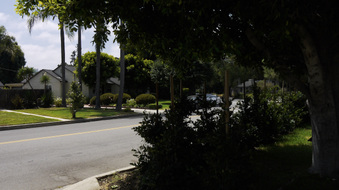 Enlarge photo 56