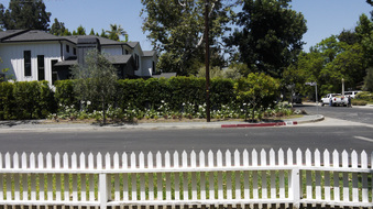 Enlarge photo 35