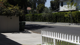 Enlarge photo 37