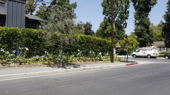 Enlarge photo 38