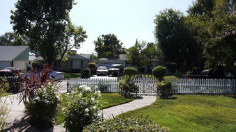 Enlarge photo 8