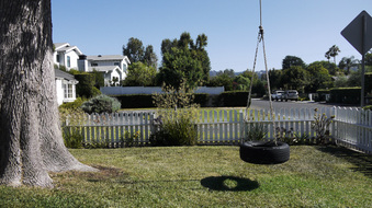 Enlarge photo 41