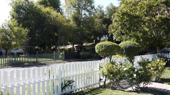 Enlarge photo 44