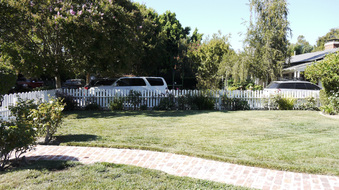 Enlarge photo 45