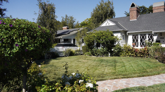 Enlarge photo 47
