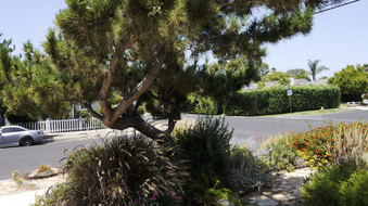 Enlarge photo 14