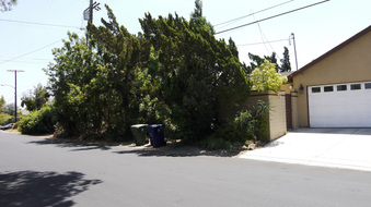 Enlarge photo 43