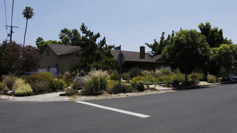 Enlarge photo 51