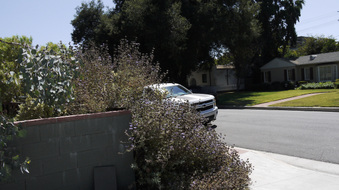 Enlarge photo 8