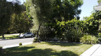 Enlarge photo 13