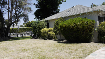 Enlarge photo 7