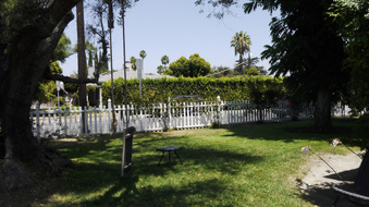 Enlarge photo 41