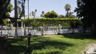 Enlarge photo 42