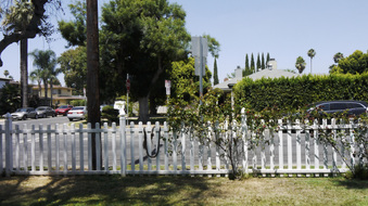 Enlarge photo 44