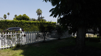 Enlarge photo 45