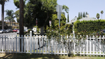Enlarge photo 47