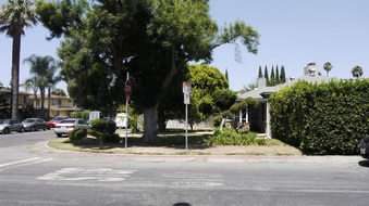 Enlarge photo 48