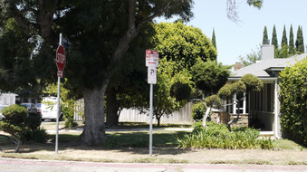 Enlarge photo 49