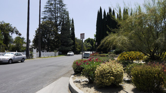 Enlarge photo 53