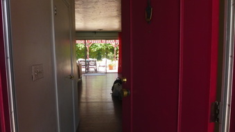 Enlarge photo 6