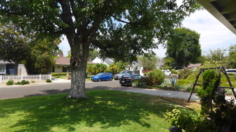 Enlarge photo 11