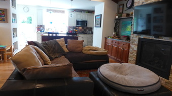 Enlarge photo 16