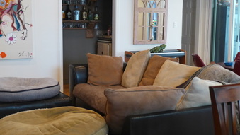 Enlarge photo 28
