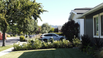 Enlarge photo 13