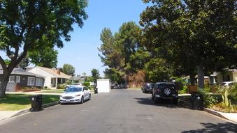 Enlarge photo 40