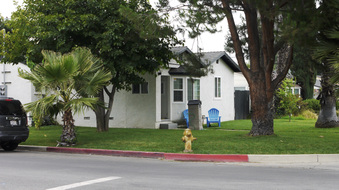 Enlarge photo 11