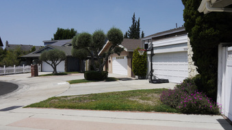 Enlarge photo 12