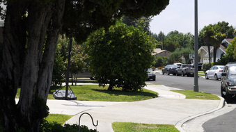 Enlarge photo 14