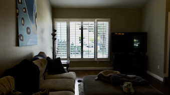 Enlarge photo 16