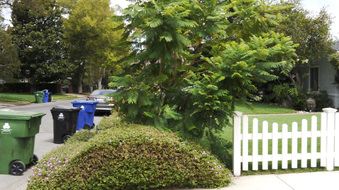 Enlarge photo 6