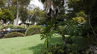 Enlarge photo 15