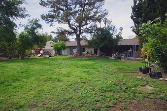 Enlarge photo 32