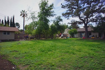 Enlarge photo 33