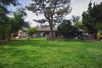 Enlarge photo 34