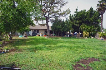 Enlarge photo 35