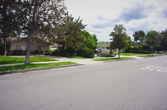 Enlarge photo 40