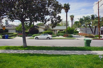 Enlarge photo 41