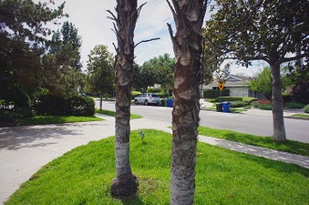 Enlarge photo 42