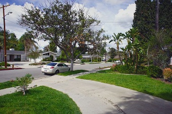 Enlarge photo 45