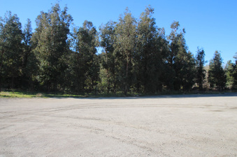 Enlarge photo 11